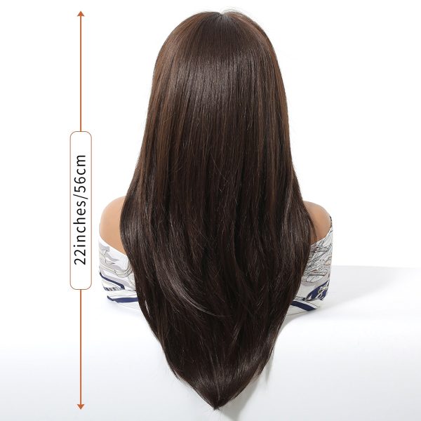 24 Inch Chestnut Brown Balayage Straight Wig – Synthetic Hair 24 Inch Chestnut Brown Balayage Straight Wig – Synthetic Hair