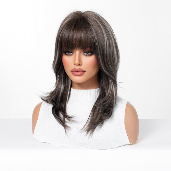 18 Inch Dark Brown Silver Grey Straight Wig with Bangs – Synthetic Hair 18 Inch Dark Brown Silver Grey Straight Wig with Bangs – Synthetic Hair