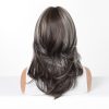 18 Inch Dark Brown Silver Grey Straight Wig with Bangs – Synthetic Hair 18 Inch Dark Brown Silver Grey Straight Wig with Bangs – Synthetic Hair