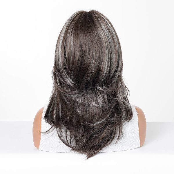 18 Inch Dark Brown Silver Grey Straight Wig with Bangs – Synthetic Hair 18 Inch Dark Brown Silver Grey Straight Wig with Bangs – Synthetic Hair